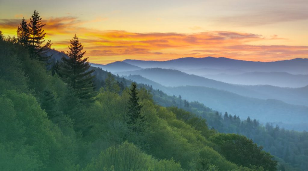 Building the Best Bank Bank of Tennessee