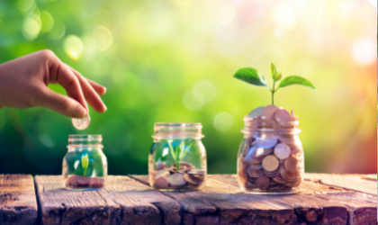 3 glass jars with coins in them and a plants growing