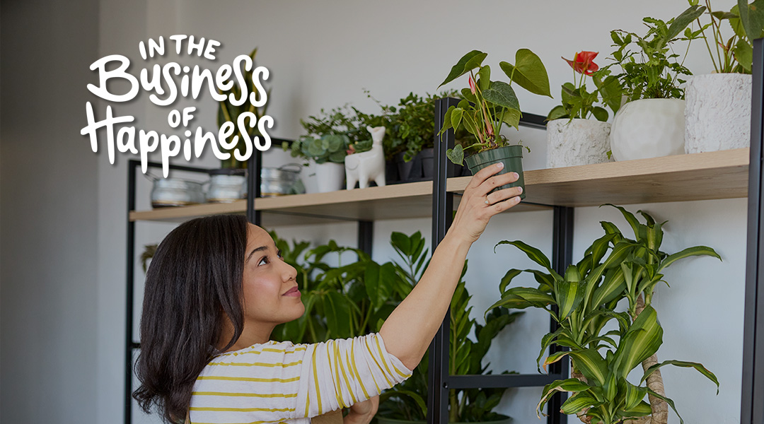 Woman places potted plant on a shelf. In The Business of Happiness logo is in top left corner.
